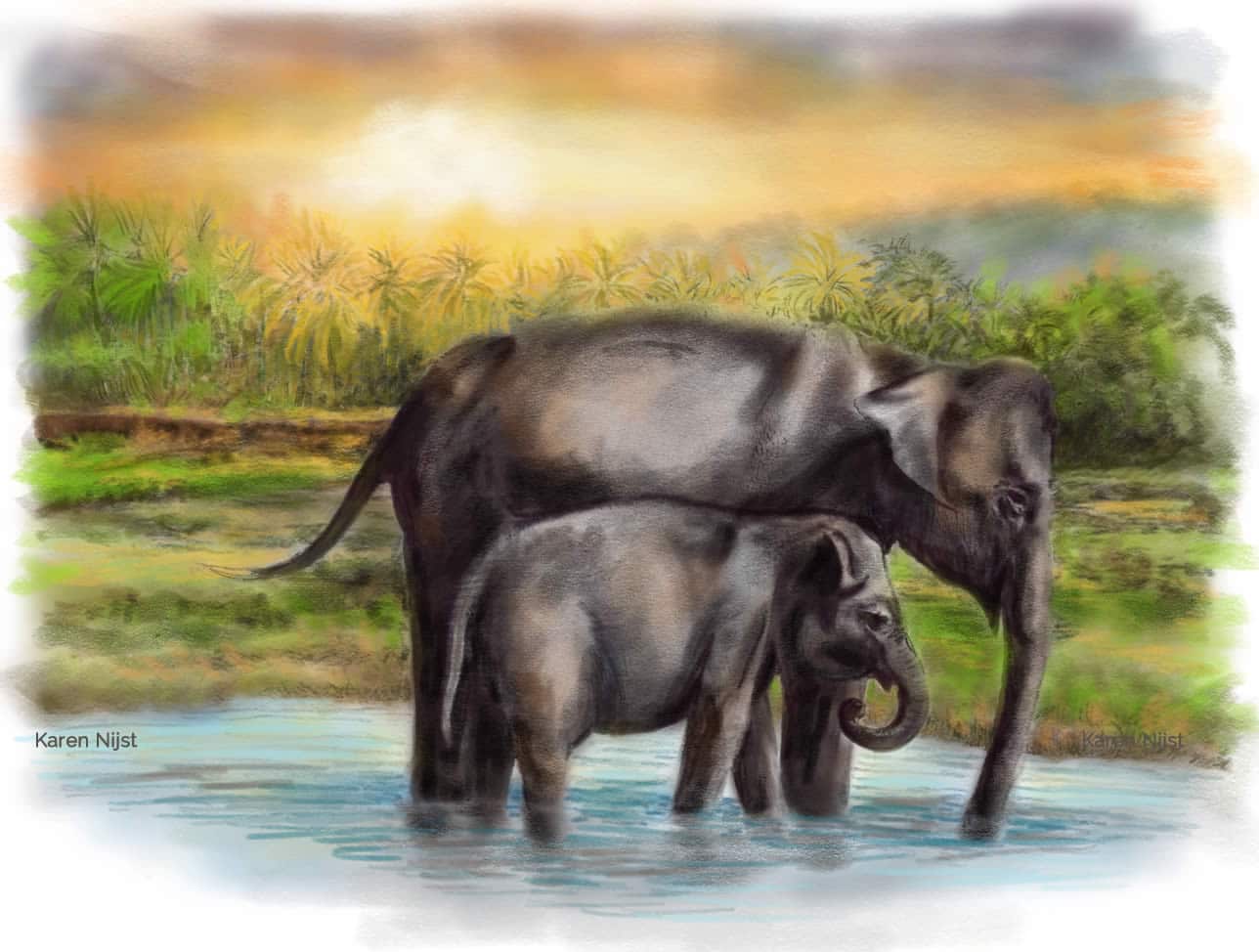 Olifanten, moeder met jong