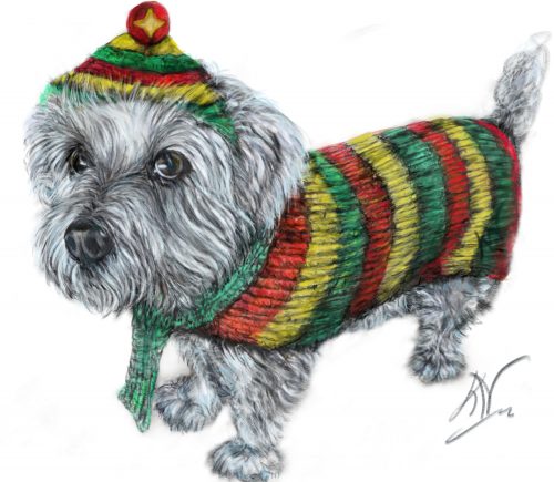 Tekening van een hondje met een zelfgebreid jasje in de kleuren van carnaval maastricht